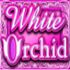 fehér orchidea nyerőgép - logó.